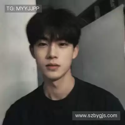怀献义